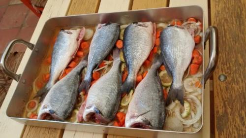 Dorada