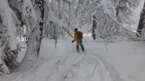 Chamonix into the trees!