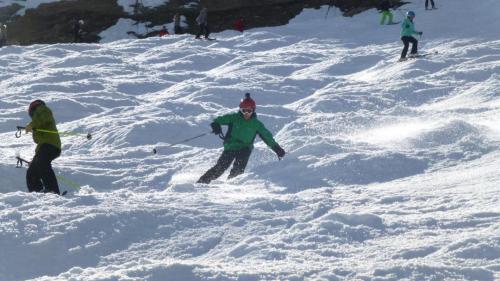 Jr ski