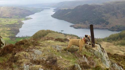 Fizz and Ullswater