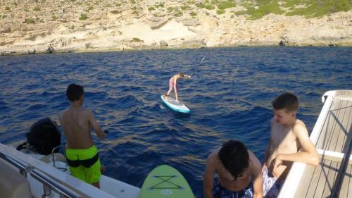 Paddle falling